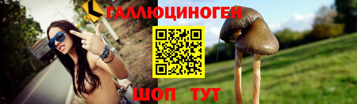 Галлюциногенные грибы ЛСД Каменск-Шахтинский